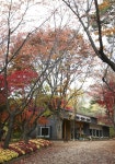 종로구, 8일 삼청공원에서 ‘책읽는 종로, 도서관축제’ 개최 | 일요신문 종로구, 8일 삼청공원에서  ‘책읽는 종로, 도서관축제’  개최