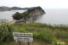 전남도, 6월 관광지로 고흥 쑥섬·산림자원연구소 추천 | 일요신문 전남도, 6월 관광지로 고흥 쑥섬·산림자원연구소 추천