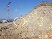 [현장 고발] 에코델타시티 대성베르힐 공사현장 환경오염 심각 | 일요신문 [현장 고발] 에코델타시티 대성베르힐 공사현장 환경오염 심각
