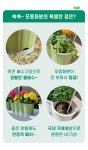 버디통탉모종점 | [1+1] 쏙쏙 모종화분 2colors | 하우스버디 - 예스24