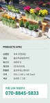버디통탉모종점 | [1+1] 쏙쏙 모종화분 2colors | 하우스버디 - 예스24