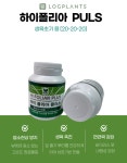 하이폴리아플러스 식물영양제 화분 비료 80g : 비료/영양제/활력제 - 엑스플랜트