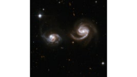 Hubble Interacting Galaxy IC 1623 | HubbleSite Hubble Interacting Galaxy IC 1623