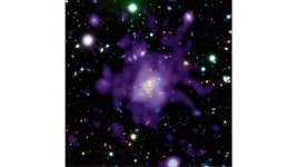 Baby Galaxy in Cluster TN J1338-1942 | HubbleSite Baby Galaxy in Cluster TN J1338-1942