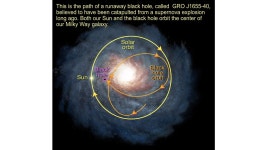 Black Hole Companion Star GRO J1655-40 | HubbleSite Black Hole Companion Star GRO J1655-40