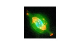 Two-Lobed Planetary Nebula Hubble 5 | HubbleSite Two-Lobed Planetary Nebula Hubble 5