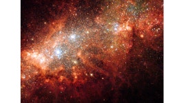 Supernova Bonanza in Nearby Galaxy NGC 1569 | HubbleSite Supernova Bonanza in Nearby Galaxy NGC 1569