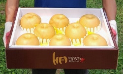 사과배 - 추천•인기 상품, 이마트몰