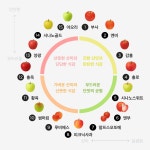[경북능금농협] 아이러브 영주사과 5kg 12~13과 - 이마트몰, 원하는 상품을 원하는 시간에 쓱, 이마트몰 [경북능금농협] 아이러브 영주사과... 