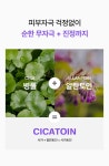 [미백잡티] 성분에디터 머루포도 비타C 미백앰플 30ml 1+1 기획 | 올리브영 [미백잡티] 성분에디터 머루포도 비타C 미백앰플 30ml 1+1 기획