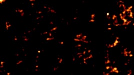 NASA SVS | X-ray Nova Reveals a New Black Hole in Our Galaxy NASA Scientific Visualization Studio | X-ray Nova Reveals a New... 