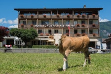 Jungfrau Hotel, Wilderswil, Switzerland - Booking.com ★★★ Jungfrau Hotel, Wilderswil, Switzerland