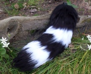 Babys First Yarn Tail by KiRAWRa -- Fur Affinity [dot] net Babys First Yarn Tail by KiRAWRa