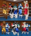 Beast Boxing Gym R2 (Beast Boxers) by Dee -- Fur Affinity [dot] net Beast Boxing Gym R2 (Beast Boxers) by Dee