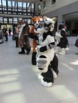 Eurofurence 22 / Con Day 3 / Photo 64 by Crow3000 -- Fur Affinity [dot] net Eurofurence 22 / Con Day 3 / Photo 64 by Crow3000