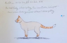 Warrior Cat Oc? by thecloudkingdom -- Fur Affinity [dot] net Warrior Cat Oc? by thecloudkingdom