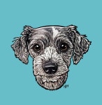 Pet Portrait by Kekreationsart -- Fur Affinity [dot] net Pet Portrait by Kekreationsart