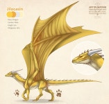 투할로 (2 hallo) | Userpage of Hallo2 -- Fur Affinity [dot] net