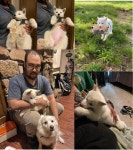 my daughter mizu by deonwolf -- Fur Affinity [dot] net my daughter mizu by deonwolf