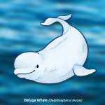 Little Beluga by stinab -- Fur Affinity [dot] net Little Beluga by stinab