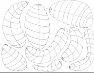 L2 HW 1-2 Organic Forms with Contour Lines 2 by Neko_Petter -- Fur Affinity [dot] net L2 HW 1-2 Organic Forms with Contour Lines... 
