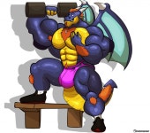 flex in the gym by doger -- Fur Affinity [dot] net flex in the gym by doger