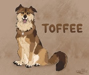 [AF] Toffee by Qwairz -- Fur Affinity [dot] net [AF] Toffee by Qwairz