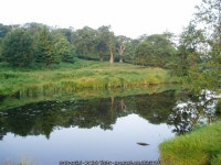 Bradgate Park © Bob Tinley :: Geograph Britain and Ireland Bradgate Park &copy; Bob Tinley