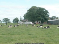 Cumbrian Farm © Dennis Turner :: Geograph Britain and Ireland Cumbrian Farm &copy; Dennis Turner