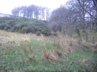 Wood behind Overwater © John Holmes :: Geograph Britain and Ireland Wood behind Overwater &copy; John Holmes