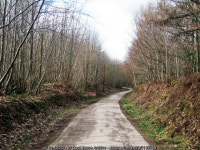 Access Road through Bedgebury Forest © Oast House Archive cc-by-sa/2.0 :: Geograph Britain and Ireland Access Road through... 