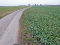 Farmland at SE774253 © Stephen Horncastle cc-by-sa/2.0 :: Geograph Britain and Ireland Farmland at SE774253 &copy; Stephen... 