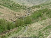 Landscape restoration in Carrifran Glen © M J Richardson :: Geograph Britain and Ireland Landscape restoration in Carrifran Glen... 
