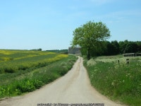 Track to Cross Thorns Farm © JThomas cc-by-sa/2.0 :: Geograph Britain and Ireland Track to Cross Thorns Farm &copy; JThomas cc... 