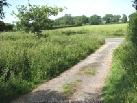 View across the B1332 (Norwich Road) © Evelyn Simak cc-by-sa/2.0 :: Geograph Britain and Ireland View across the B1332 (Norwich... 