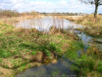 Henfield and District Anglers Fishing... © Simon Carey :: Geograph Britain and Ireland Henfield and District Anglers Fishing...... 