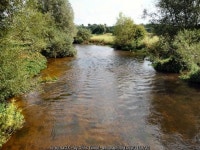 Amesbury - The River Avon © Chris Talbot cc-by-sa/2.0 :: Geograph Britain and Ireland Amesbury - The River Avon &copy; Chris... 