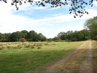 The Weavers Way from Acle to Halvergate © Evelyn Simak :: Geograph Britain and Ireland The Weavers Way from Acle to Halvergate... 