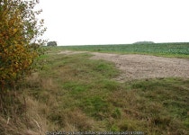 Footpath from The Ling to Seething © Evelyn Simak cc-by-sa/2.0 :: Geograph Britain and Ireland Footpath from The Ling to... 