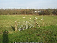 Field Footpath near Newton and Europark © Michael Westley :: Geograph Britain and Ireland Field Footpath near Newton and... 