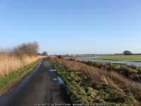 Rickney Lane © Simon Carey :: Geograph Britain and Ireland Rickney Lane &copy; Simon Carey