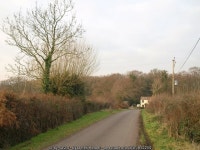 Lane at Blackmoor © Derek Harper cc-by-sa/2.0 :: Geograph Britain and Ireland Lane at Blackmoor &copy; Derek Harper cc-by-sa/2.0