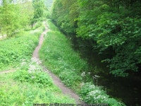 Cromford Canal - South of Whatstandwell © Nikki Mahadevan :: Geograph Britain and Ireland Cromford Canal - South of... 