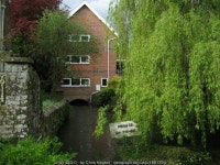 River Meon in Corhampton © Chris Heaton cc-by-sa/2.0 :: Geograph Britain and Ireland River Meon in Corhampton &copy; Chris... 