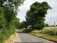 Long straight road © David Williams cc-by-sa/2.0 :: Geograph Britain and Ireland Long straight road &copy; David Williams cc-by... 
