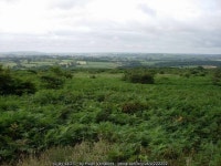 St Cleer Downs © Hugh Venables cc-by-sa/2.0 :: Geograph Britain and Ireland St Cleer Downs &copy; Hugh Venables cc-by-sa/2.0