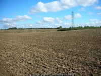 Cultivated field and pylon © Will Lovell cc-by-sa/2.0 :: Geograph Britain and Ireland Cultivated field and pylon &copy; Will... 