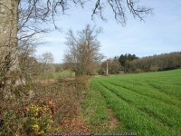 Field near Lashbrook Covert © Derek Harper cc-by-sa/2.0 :: Geograph Britain and Ireland Field near Lashbrook Covert &copy; Derek... 