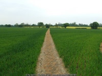 Clear Path © Keith Evans cc-by-sa/2.0 :: Geograph Britain and Ireland Clear Path &copy; Keith Evans cc-by-sa/2.0