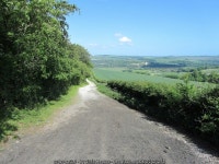 South Downs Way beside Coombe Wood (C) Chris Heaton :: Geograph Britain and Ireland South Downs Way beside Coombe Wood (C) Chris... 